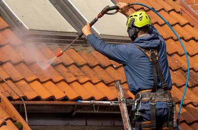 Démoussage et hydrofuge de toiture à Mézériat